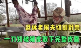 屠夫完整观看在线观看,在线观影之旅，揭秘血腥背后的真实人生